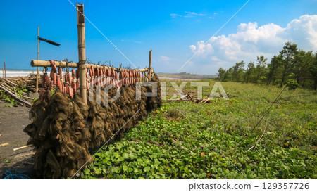 Multiple fishing nets hanging to dry outdoors, traditional fishing equipment used by local fishermen in a Southeast Asian coastal village. 129357726