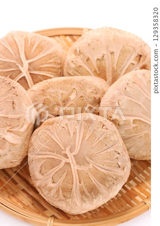 香菇，生冬菇，大，配料，淺色背景 129358320