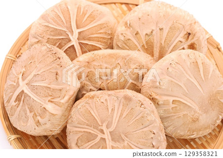 Shiitake mushrooms, raw donko, large, ingredients, light background Shiitake mushrooms, raw donko, large, ingredients, light background 129358321