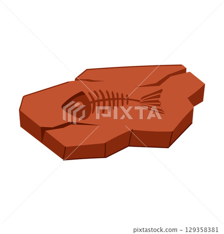 sedimentary fossil cartoon vector illustration sedimentary fossil cartoon vector illustration 129358381