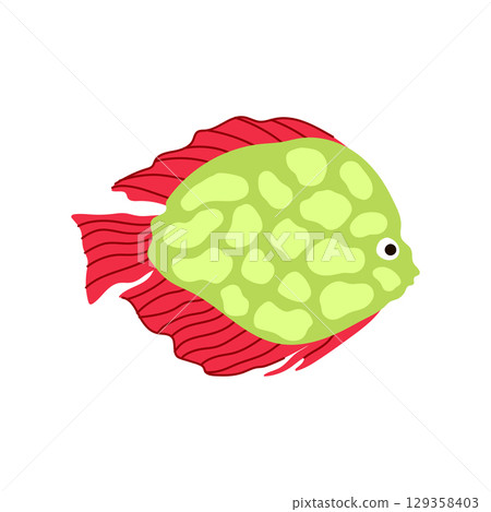 pleco exotic fish cartoon vector illustration 129358403