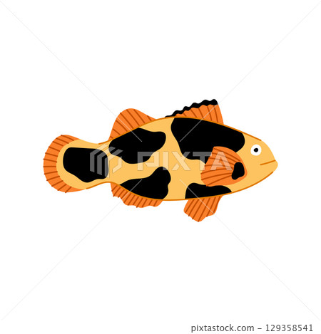 species clown fish cartoon vector illustration 129358541
