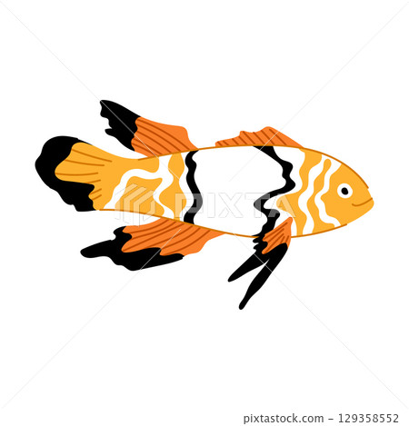 tropical clown fish cartoon vector illustration 129358552