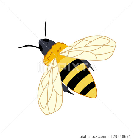 queen bee cartoon vector illustration 129358655