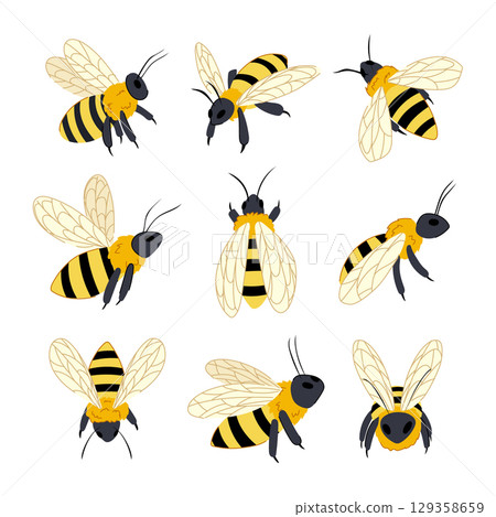 bee set cartoon vector illustration bee set cartoon vector illustration 129358659