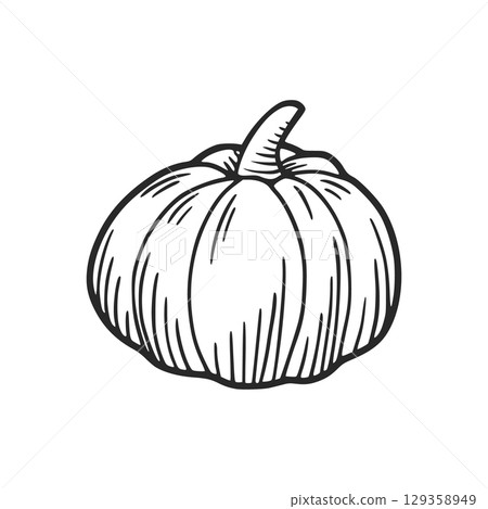 Hand drawn pumpkin illustration for autumn festivities 129358949