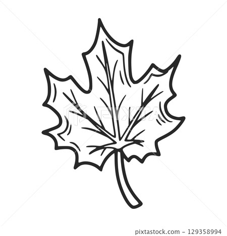 Hand drawn maple leaf representing autumn and nature 129358994