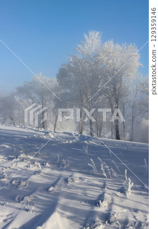 Trees with heavy frost during a sunny morning 129359146