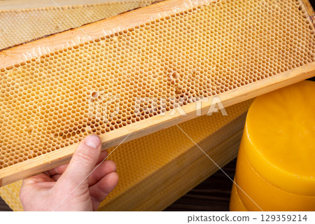 Hive frame with wax. Beekeeper holding frame from the hive, wax in sheets and disks Hive frame with wax. Beekeeper holding frame from the hive, wax in sheets and disks 129359214