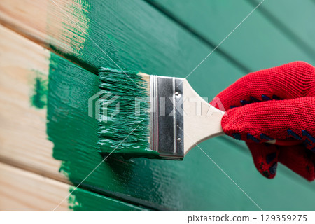 Painting outdoor house wall with a brush. Man painting wooden wall in green color, renovating house, new facade 129359275