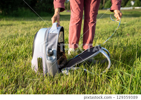 Terrified cat refusing exit from rucksack carrier onto lawn during walk. Anxious animal in nature Terrified cat refusing exit from rucksack carrier onto lawn during walk. Anxious animal in nature 129359389