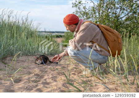 Scared tense furrowed cat on leash avoid man scared of sand beach. Pet owner comfort beckon for walk 129359392