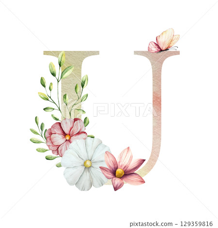 Watercolor letter U with floral ornament and soft foliage, gerbera, chamomile, echinacea. Delicate hand drawn alphabet, butterfly and botanical elements in elegant. Transparent PNG, perfect for Watercolor letter U with floral ornament and soft foliage, gerbera, chamomile, echinacea. Delicate hand drawn alphabet, butterfly and botanical elements in elegant. Transparent PNG, perfect for 129359816