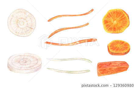 Fresh daikon and carrot cut into round slices and julienne strips watercolor food isolated illustration. Fresh natural healthy root vegetable ingredient for healthy recipe blogs, organic packaging. Fresh daikon and carrot cut into round slices and julienne strips watercolor food isolated illustration. Fresh natural healthy root vegetable ingredient for healthy recipe blogs, organic packaging. 129360980