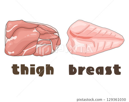 雞胸肉和雞大腿插圖集(附英文) 雞胸肉和雞大腿插圖集(附英文) 129361030