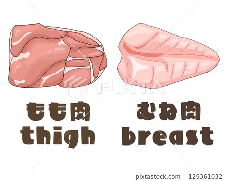 Chicken breast and thigh illustration set (with Japanese and English text) Chicken breast and thigh illustration set (with Japanese and English text) 129361032