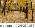 Tranquil autumn park with a pathway covered in golden leaves 129361164