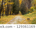 Autumn pathway through a park lined with yellow and orange colored foliage 129361169