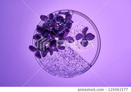Three-piece petri dish with lilac flowers and whey texture. 129361577
