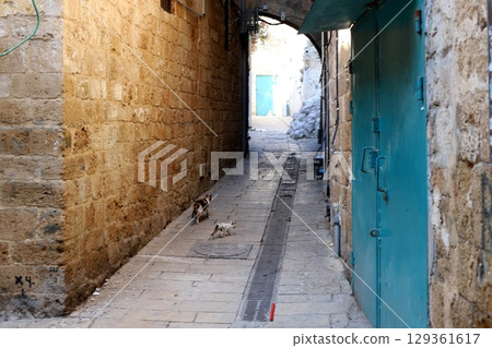 The ancient fortress city of Acre on the Mediterranean coast. 129361617