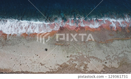 French Polynesia, Rangiroa island: Aerial view of ocean waves colorful shoreline crashing pink coral reef rocky beach, creating a beautiful natural spectacle. Drone top down static background 129361731