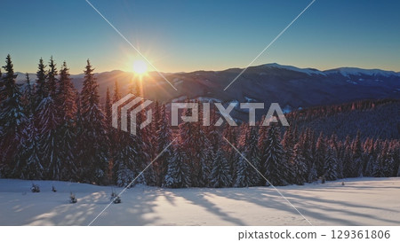 Aerial view of majestic winter landscape with snow covered pine forest and sun shining over mountain peaks during a beautiful sunrise in the Carpathian Mountains. Winter wild nature travel background 129361806
