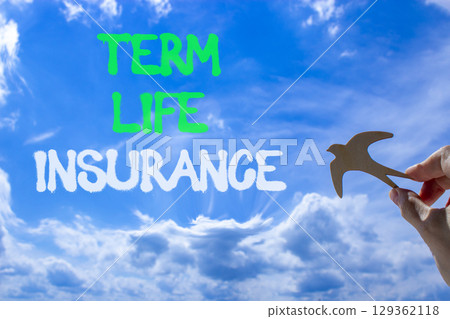 Term life insurance symbol. Concept words Term life insurance on beautiful blue sky. Beautiful blue sky background. Businessman hand with wooden bird. Business term life insurance concept. Copy space. 129362118