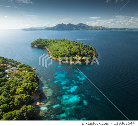 Aerial drone view of a green island with pine trees and blue sea 129362544