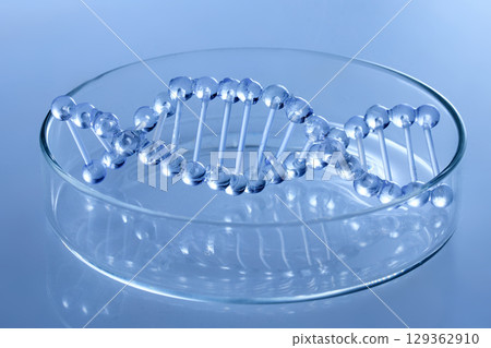 Abstract cosmetic laboratory. Chemical laboratory research. Cosmetic Essence. DNA Model in Petri Dish. 129362910