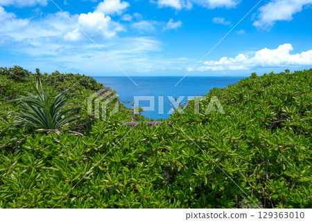 藍天大海 宮古島 藍天大海 宮古島 129363010