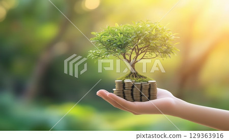 Businessman Hand Holding Stack Of Coins With Tree Growing On Top In Natural Green Environment 129363916
