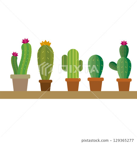 Collection of five cute cacti. Vector Collection of five cute cacti. Vector 129365277