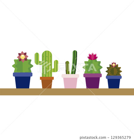 Collection of five cute cacti. Vector 129365279