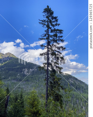 Landscape in the foothills of the Tatras. Mountain peaks against blue sky and clouds 129365725
