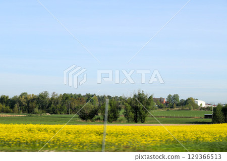 Scenic Agricultural Fields in Spring Light 129366513