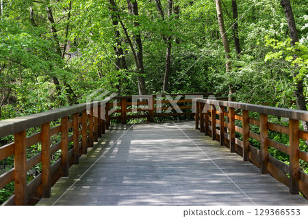 Wooden Pathway Through Green Park 129366553