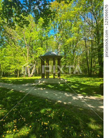 Wooden Pavilion in a Green Forest Park Wooden Pavilion in a Green Forest Park 129366676
