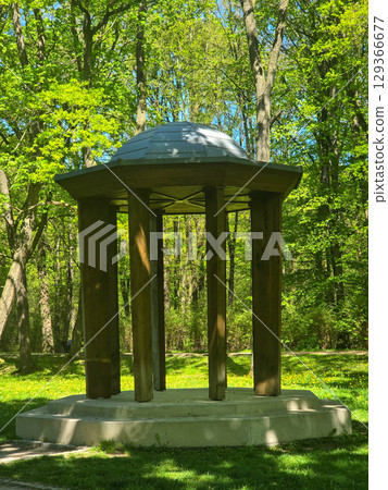 Wooden Pavilion in a Green Forest Park 129366677