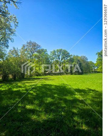Scenic Park Landscapes on a Sunny Day Scenic Park Landscapes on a Sunny Day 129366697