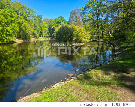 River View Flowing Through a Spring Park River View Flowing Through a Spring Park 129366705