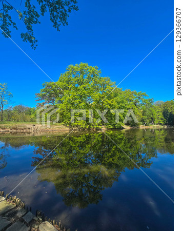 River View Flowing Through a Spring Park 129366707