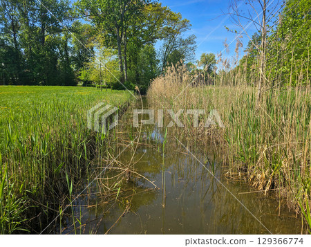 Scenic River Landscape with Natural Surroundings Scenic River Landscape with Natural Surroundings 129366774