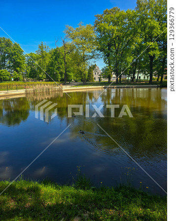 Scenic River Landscape with Natural Surroundings 129366779