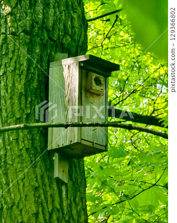 Wooden Birdhouse in Natural Surroundings 129366802