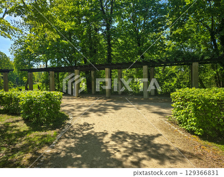 Winding Park Paths in Scenic Green Landscape 129366831