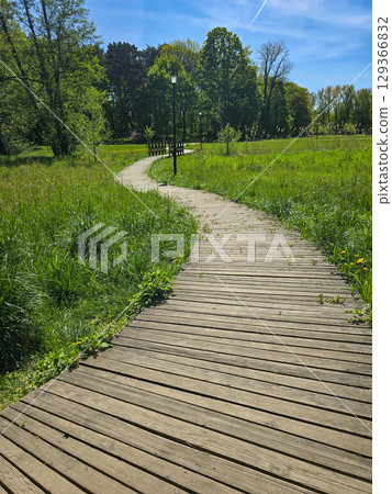 Winding Park Paths in Scenic Green Landscape 129366832