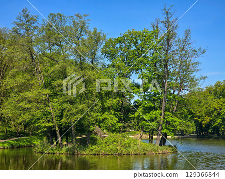 Tranquil River Landscape on a Sunny Day 129366844
