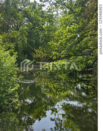 View of the Mysterious Black Lake View of the Mysterious Black Lake 129366863