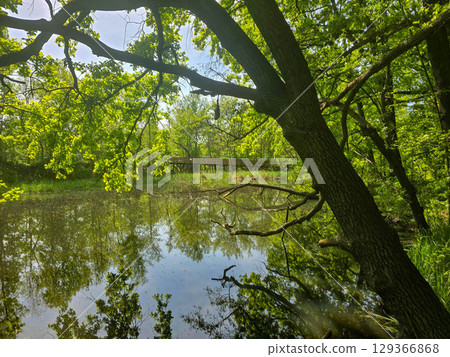 View of the Mysterious Black Lake 129366868