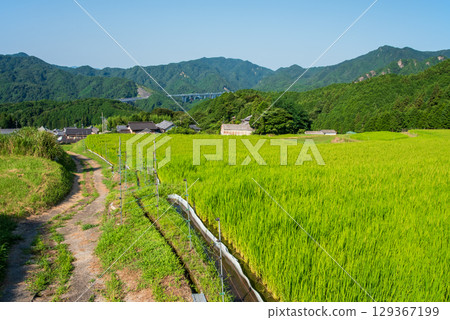 "Rural Landscape" Sakamoto Rice Terraces in Summer (Kameyama City, Mie Prefecture) "Rural Landscape" Sakamoto Rice Terraces in Summer (Kameyama City, Mie Prefecture) 129367199